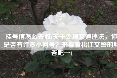 挂号信怎么签收(关于处理交通违法，你是否有许多小问号？来看看松江交警的解答吧→)