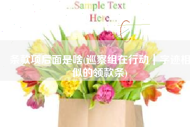 条款项后面是啥(巡察组在行动｜字迹相似的领款条)