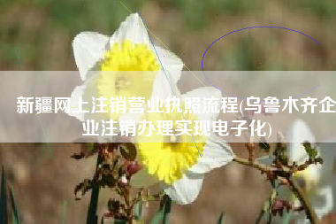 新疆网上注销营业执照流程(乌鲁木齐企业注销办理实现电子化)