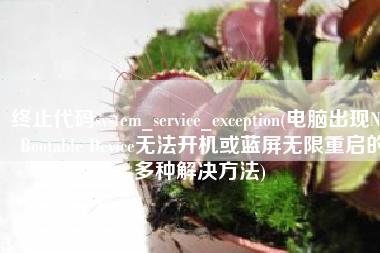 终止代码system_service_exception(电脑出现No Bootable Device无法开机或蓝屏无限重启的多种解决方法)