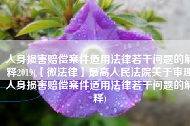 人身损害赔偿案件适用法律若干问题的解释2019(【微法律】最高人民法院关于审理人身损害赔偿案件适用法律若干问题的解释)