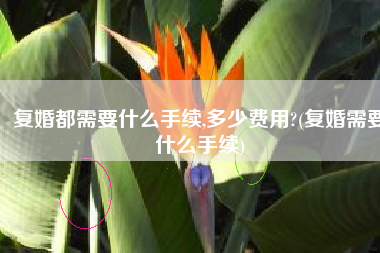 复婚都需要什么手续,多少费用?(复婚需要什么手续)