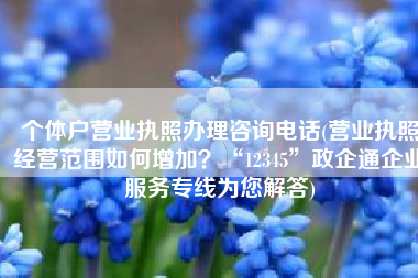 个体户营业执照办理咨询电话(营业执照经营范围如何增加？“12345”政企通企业服务专线为您解答)