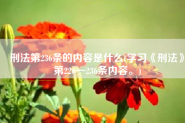 刑法第236条的内容是什么(学习《刑法》第226—236条内容。)