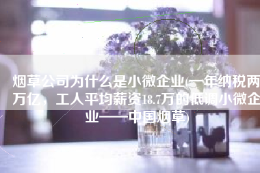 烟草公司为什么是小微企业(一年纳税两万亿，工人平均薪资18.7万的低调小微企业——中国烟草)