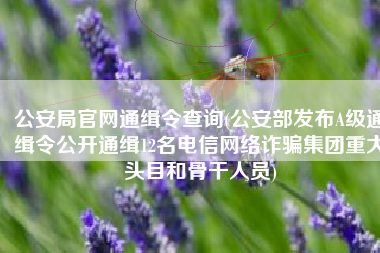 公安局官网通缉令查询(公安部发布A级通缉令公开通缉12名电信网络诈骗集团重大头目和骨干人员)