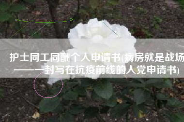护士同工同酬个人申请书(病房就是战场——一封写在抗疫前线的入党申请书)