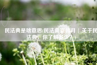 民法典是啥意思(民法典宣传月 | 关于民法典，你了解多少？)