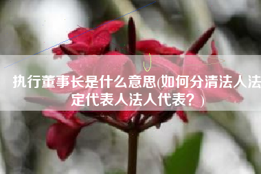 执行董事长是什么意思(如何分清法人法定代表人法人代表？)