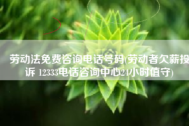 劳动法免费咨询电话号码(劳动者欠薪投诉 12333电话咨询中心24小时值守)