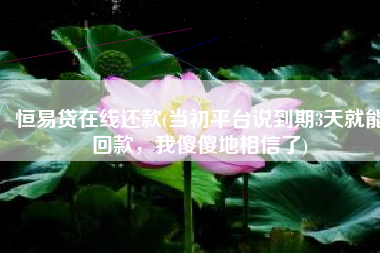 恒易贷在线还款(当初平台说到期3天就能回款，我傻傻地相信了)