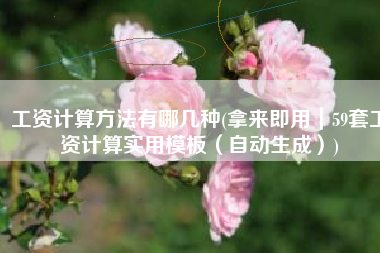 工资计算方法有哪几种(拿来即用｜59套工资计算实用模板（自动生成）)