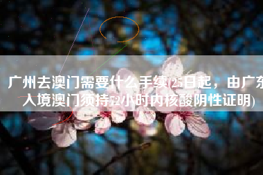 广州去澳门需要什么手续(25日起，由广东入境澳门须持72小时内核酸阴性证明)