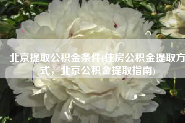北京提取公积金条件(住房公积金提取方式，北京公积金提取指南)