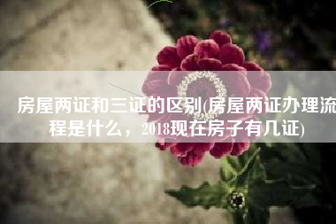 房屋两证和三证的区别(房屋两证办理流程是什么，2018现在房子有几证)