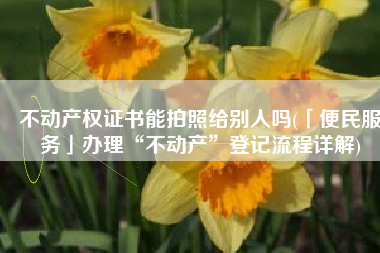 不动产权证书能拍照给别人吗(「便民服务」办理“不动产”登记流程详解)