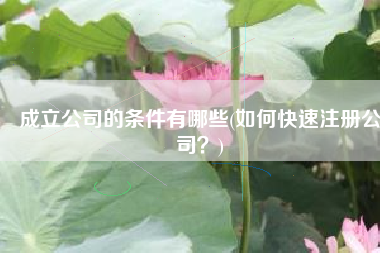 成立公司的条件有哪些(如何快速注册公司？)