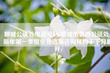 聊城公证处电话号码(聊城市鲁西公证处：新年第一季度免费遗嘱咨询预约于下月展开)