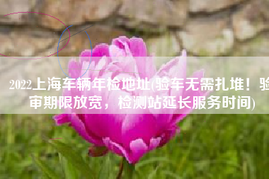2022上海车辆年检地址(验车无需扎堆！验审期限放宽，检测站延长服务时间)