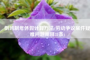 倒班制年休假计算方法(劳动争议案件疑难问题阐释31条)