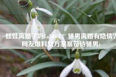 娃娃离婚了吗Lol(LOL：骚男离婚有隐情？网友爆料女方家暴苛待骚男)