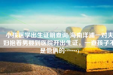 小孩医学出生证明查询(海南洋浦一对夫妇抱着男婴到医院开出生证，一查孩子不是他俩的……)
