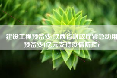 建设工程预备费(陕西省财政厅紧急动用预备费1亿元支持疫情防控)