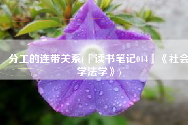 分工的连带关系(「读书笔记014」《社会学法学》)