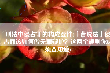 刑法中侵占罪的构成要件(「曹说法」侵占罪该如何做无罪辩护？这两个规则你必须要知道)