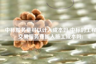 中标服务费可以计入成本吗(中标的工程交易服务费能入施工成本吗)