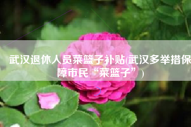 武汉退休人员菜篮子补贴(武汉多举措保障市民“菜篮子”)