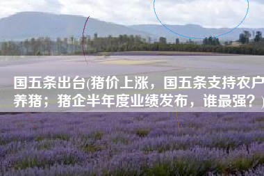 国五条出台(猪价上涨，国五条支持农户养猪；猪企半年度业绩发布，谁最强？)
