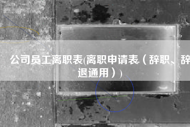 公司员工离职表(离职申请表（辞职、辞退通用）)