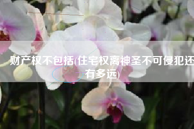 财产权不包括(住宅权离神圣不可侵犯还有多远)