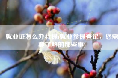 就业证怎么办社保(就业参保登记，您需要了解的那些事)