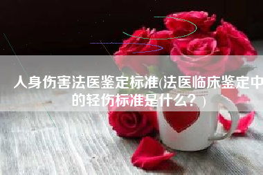 人身伤害法医鉴定标准(法医临床鉴定中的轻伤标准是什么？)