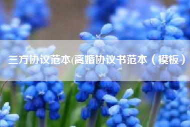 三方协议范本(离婚协议书范本（模板）)