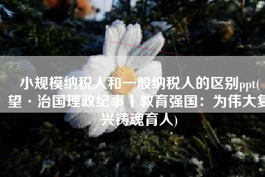 小规模纳税人和一般纳税人的区别ppt(瞭望·治国理政纪事丨教育强国：为伟大复兴铸魂育人)