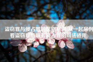 盗窃罪与侵占罪的区别案例(从一起案例看盗窃罪与职务侵占罪的司法适用)