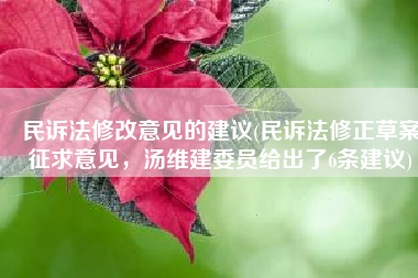 民诉法修改意见的建议(民诉法修正草案征求意见，汤维建委员给出了6条建议)