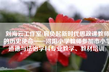 刘海云工作室(肩负起新时代思政课教师的历史使命——浔阳小学教师参加市小学道德与法治学科专业教学、教材培训)