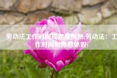 劳动法工作时间规定及报酬(劳动法：工作时间和休息休假)