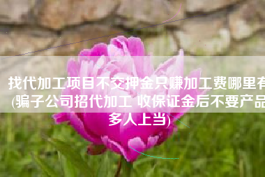 找代加工项目不交押金只赚加工费哪里有(骗子公司招代加工 收保证金后不要产品多人上当)