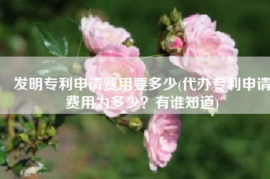 发明专利申请费用要多少(代办专利申请费用为多少？有谁知道)