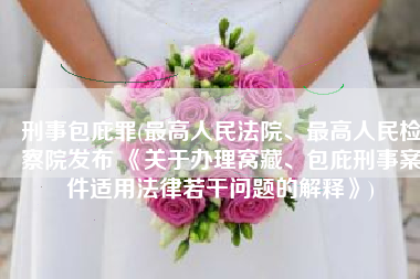 刑事包庇罪(最高人民法院、最高人民检察院发布 《关于办理窝藏、包庇刑事案件适用法律若干问题的解释》)