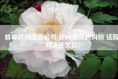 蚌埠民间借贷公司(民间借贷起纠纷 法院判决还欠款)