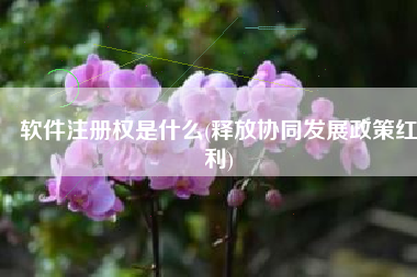 软件注册权是什么(释放协同发展政策红利)