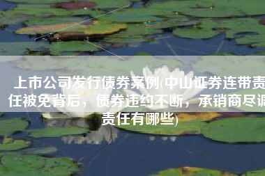 上市公司发行债券案例(中山证券连带责任被免背后，债券违约不断，承销商尽调责任有哪些)