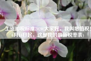 工资扣税标准2020(大家好，我叫增值税！6月14日起，这是我的最新税率表)