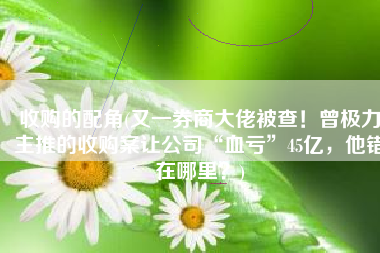 收购的配角(又一券商大佬被查！曾极力主推的收购案让公司“血亏”45亿，他错在哪里？)